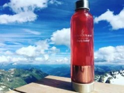 Glasflasche Mit Teesieb, 550ml - Monthea -Fleisch- & Wurstwaren Verkäufe Glasflasche Monthea 1