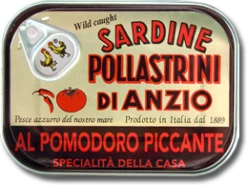 Sardinen In Tomatensauce, Dose, 100g - Pollastrini