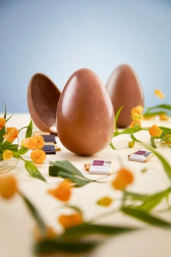 Osterei Aus Vollmilchschokolade Mit Haselnuss, 200 G, Glutenfrei - Domori -Fleisch- & Wurstwaren Verkäufe uovo nocciola pasqua 2022 AMBIENTATA